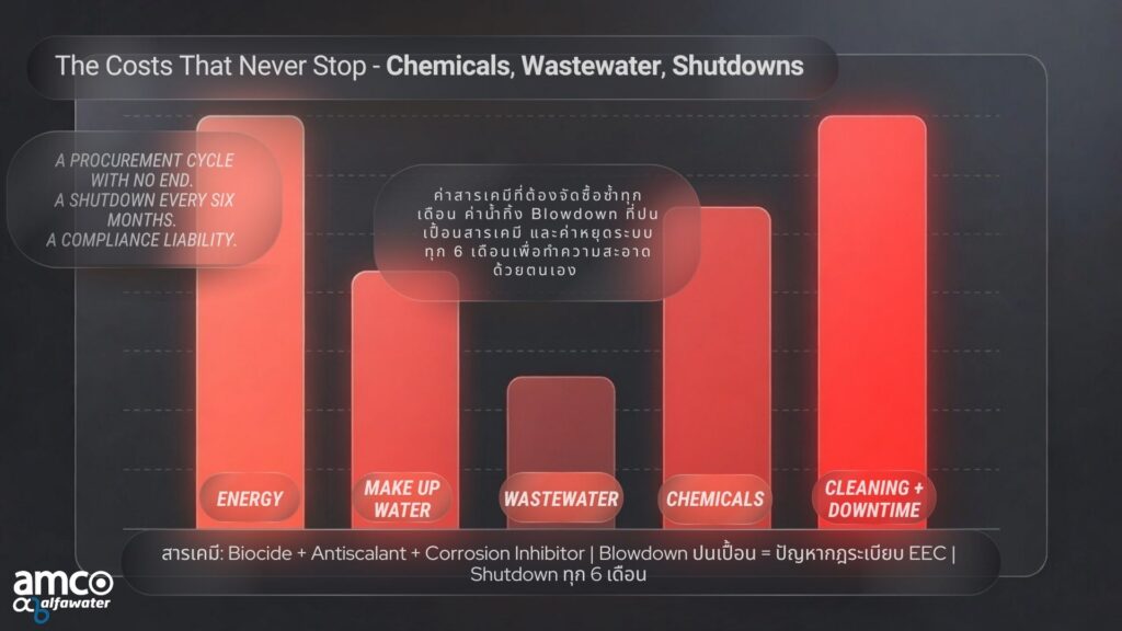 amco_SSF_APEF_ARAGON Image_13