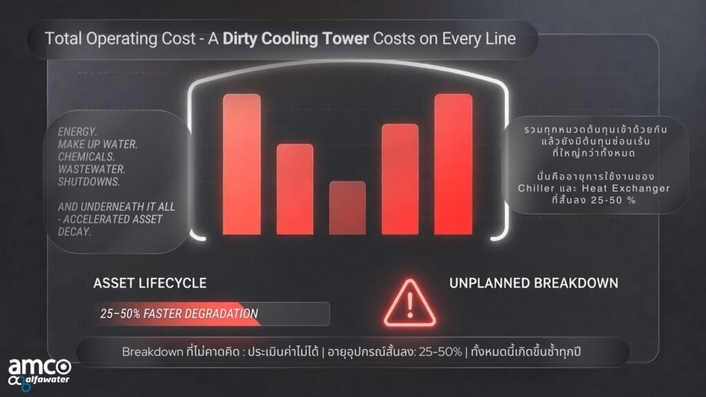 amco_SSF_APEF_ARAGON Image_14