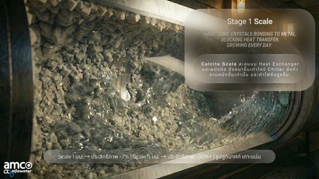 amco_SSF_APEF_ARAGON Image_6